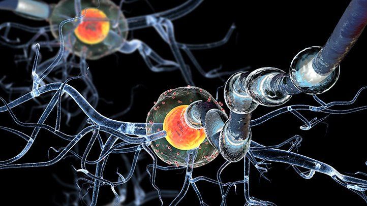 2016 study show Africans and Europeans have different immune systems. So why one vaccine for all?