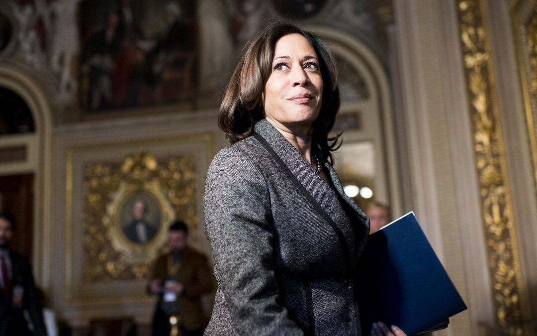 Obama, Kamala Harris are children of immigrants. Would voters elect a Foundational Black? (descendent of American slavery)