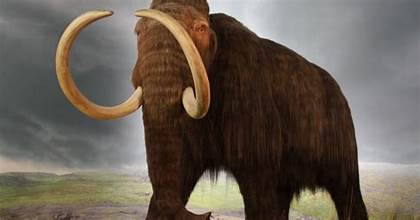 Expert say GOP will soon be extinct due to its extreme views